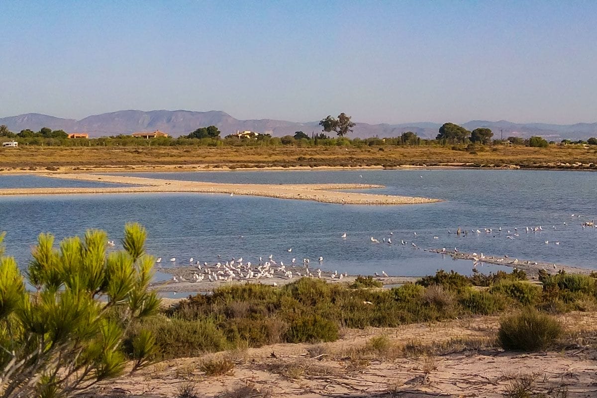 Salinas de Santa Pola, Provincia de Alicante, Comunidad Valenciana Salinas de Santa Pola, Provincia de Alicante, Comunidad Valenciana