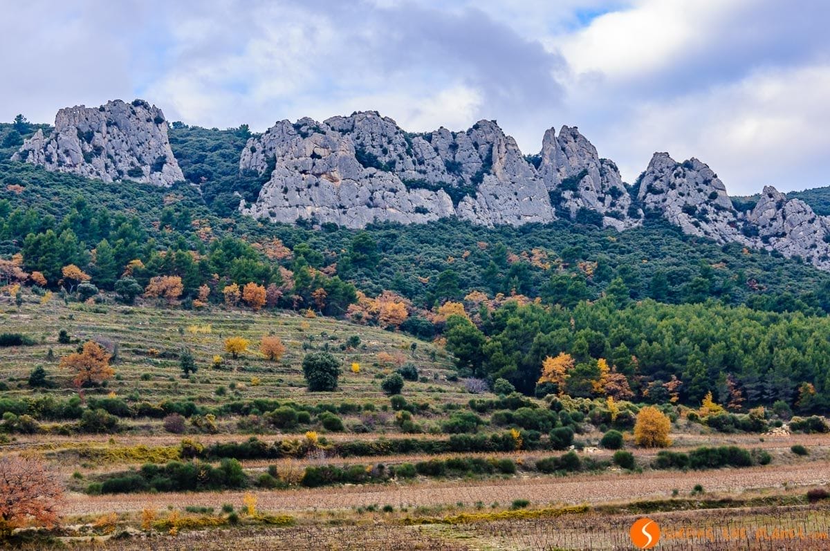 Dentelles de Montmirail, La Provenza, Francia Dentelles de Montmirail, Provenza, Francia