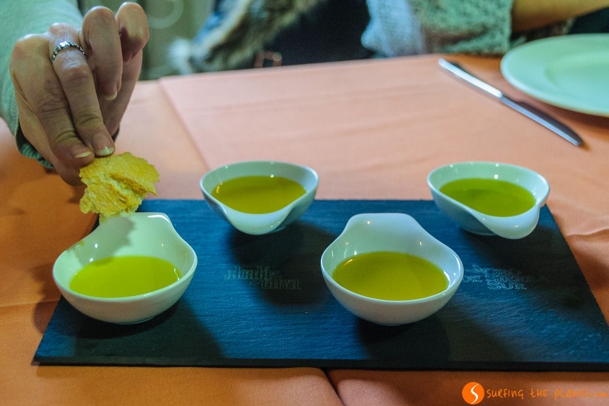 Degustación de aceites, Provincia de Jaén, Andalucía | Qué hacer en Jaén Degustación de aceites, Provincia de Jaén, Andalucía | Qué hacer en Jaén