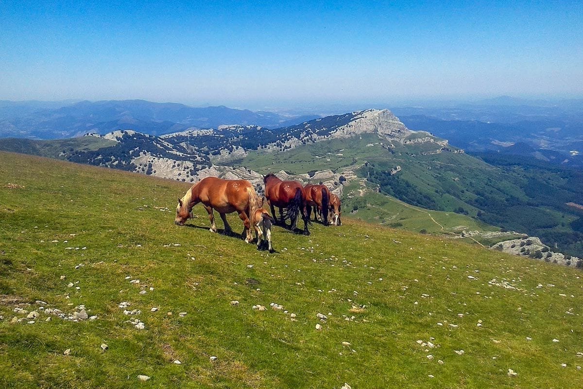 Parque Natural de Gorbea, Álava, País Vasco | Que hacer en el País Vasco Parque Natural de Gorbea, Álava, País Vasco | Que hacer en el País Vasco