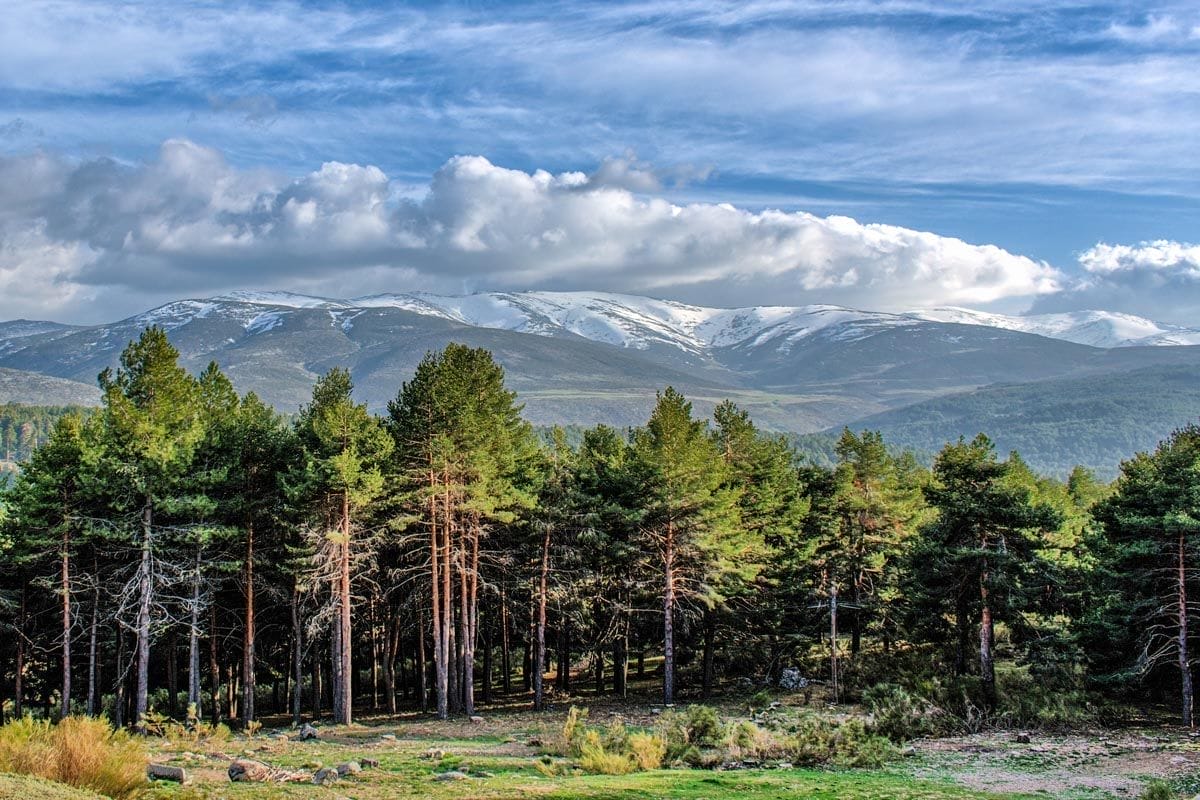 Sierra de Gredos, Ávila, Castilla y León | Qué visitar en la provincia de Ávila Sierra de Gredos, Ávila, Castilla y León | Que visitar en la provincia de Ávila