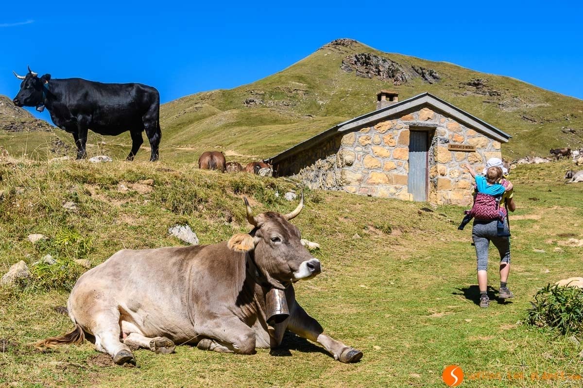 Valle de la Ripera, Huesca, Aragón | Que visitar en el Valle de Tena Valle de la Ripera, Huesca, Aragón | Que visitar en el Valle de Tena