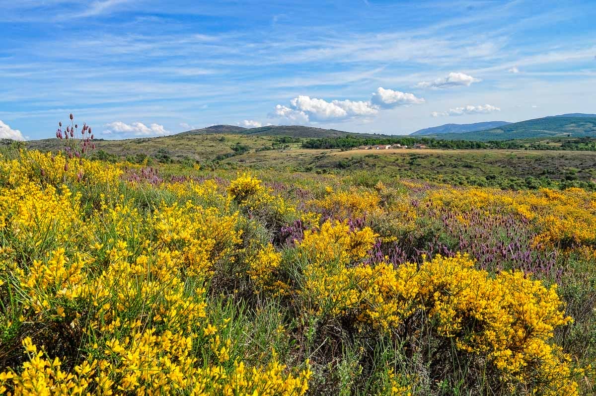 Sierra de Francia, Salamanca, Castilla y León | Viajar por la provincia de Salamanca Sierra de Francia, Salamanca, Castilla y León | Viajar por la provincia de Salamanca