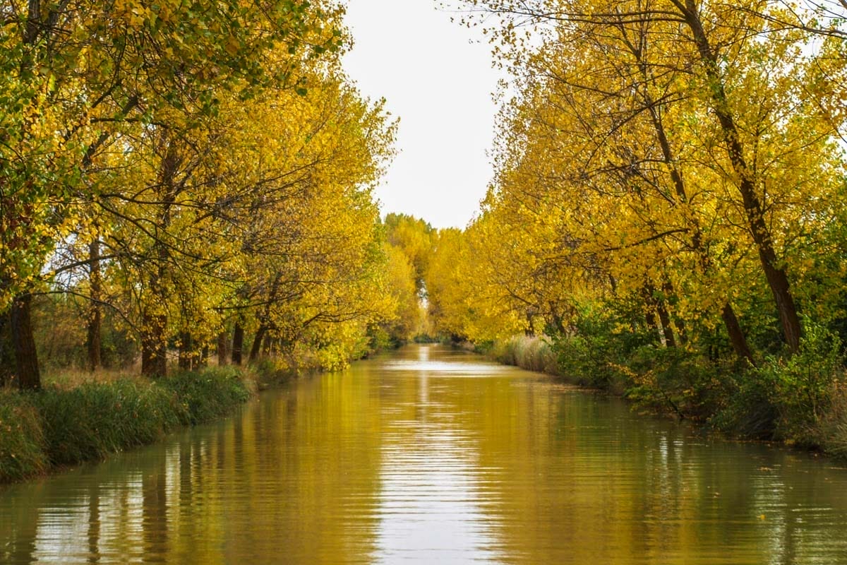 Canal de Castilla, Valladolid, Castilla y León | Que ver y hacer en Valladolid provincia Canal de Castilla, Valladolid, Castilla y León | Que ver y hacer en Valladolid provincia