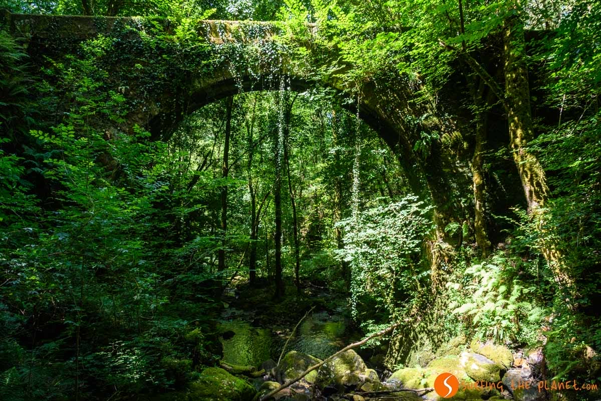 Fragas do Eume, A Coruña, Galicia | Rutas de senderismo en Galicia Fragas do Eume, A Coruña, Galicia | Rutas de senderismo en Galicia