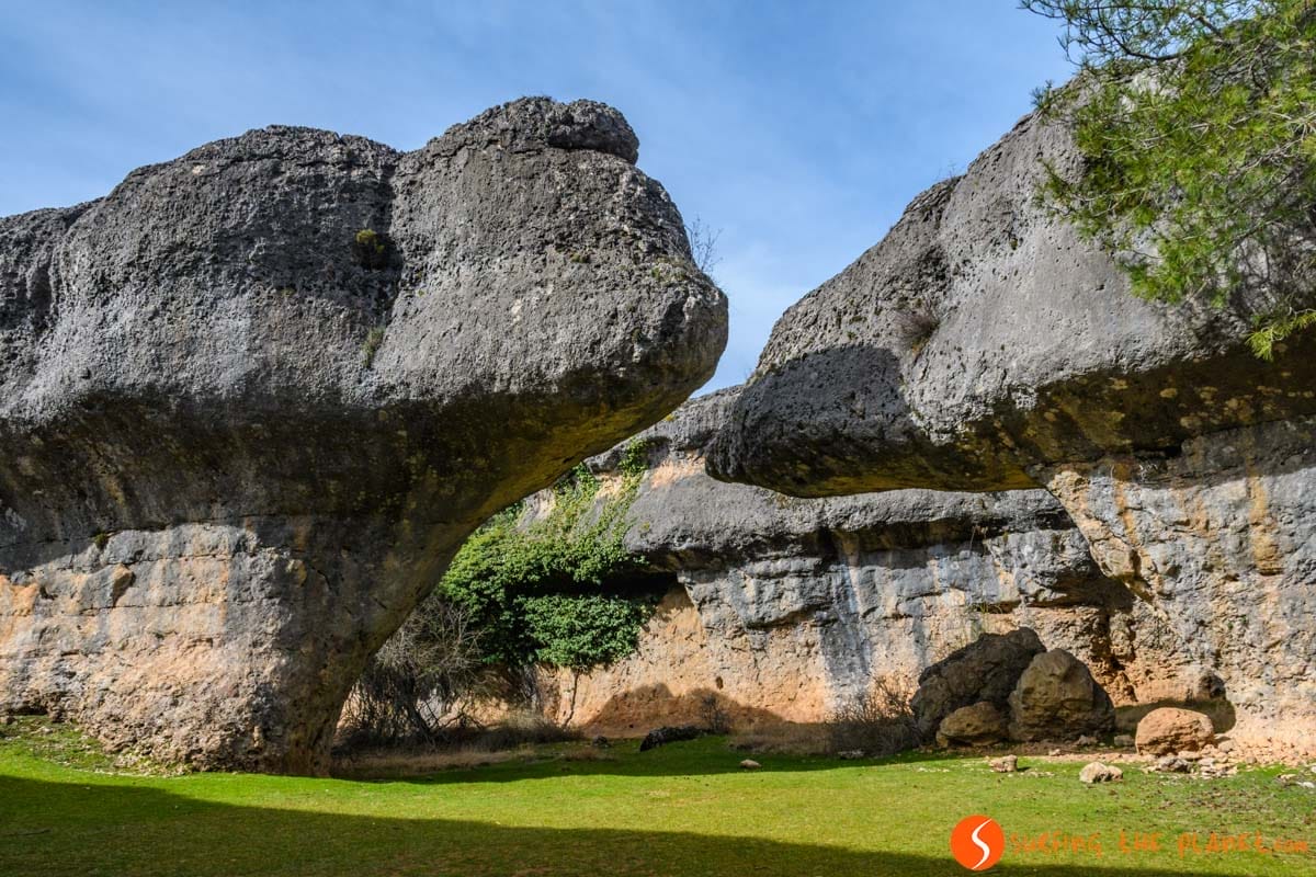 Oso, Ciudad Encantada, Cuenca | Que hacer en la provincia de Cuenca