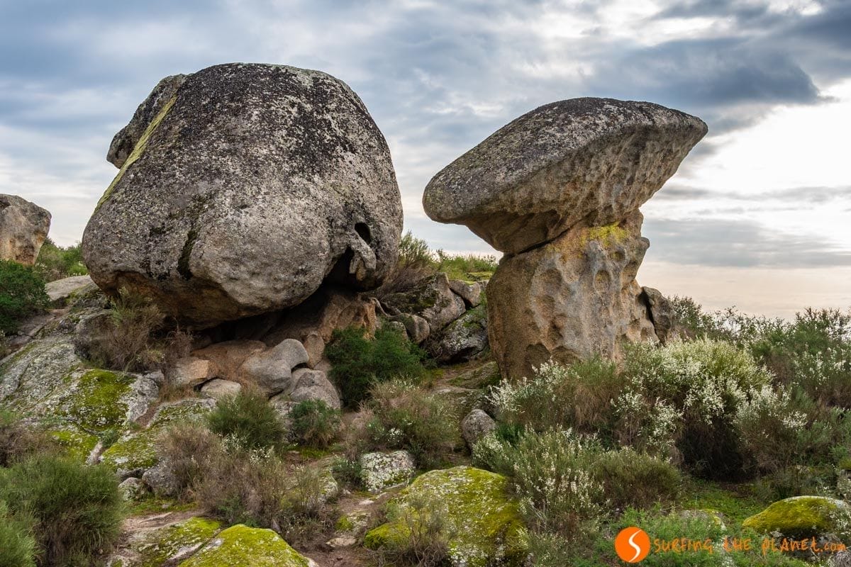 Seta, Monumento Natural Los Barruecos, Cáceres, Extremadura Seta, Monumento Natural Los Barruecos, Cáceres, Extremadura