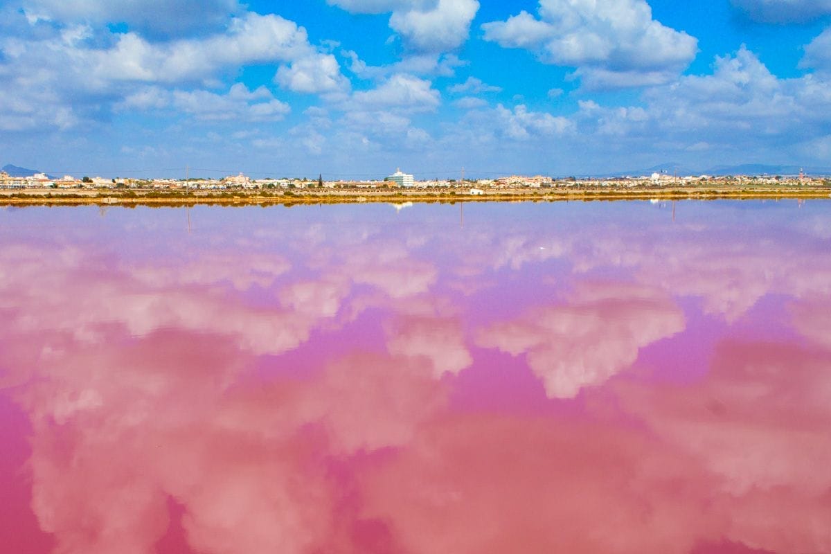 Salinas de San Pedro del Pinatar, Región de Murcia | Que ver en Murcia Salinas de San Pedro del Pinatar, Región de Murcia | Que ver en Murcia