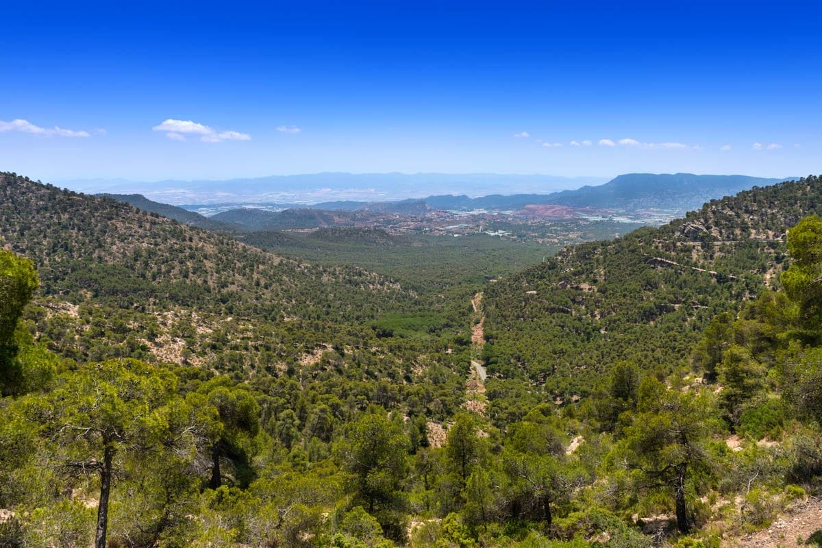 Sierra de Espuña, Región de Murcia Sierra de Espuña, Región de Murcia