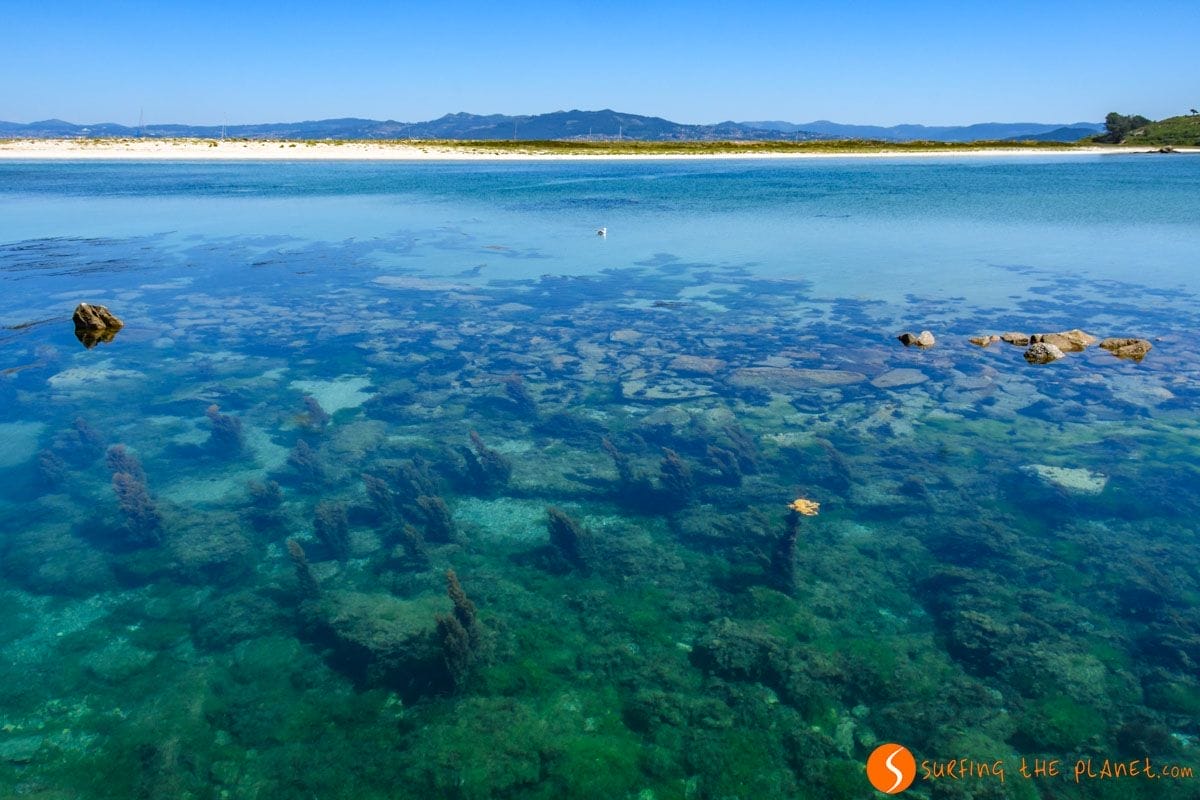 Aguas transparentes, Islas Cíes, Galicia | Visitar las Isla de Ons o las Islas Cíes Aguas transparentes, Islas Cíes, Galicia | Visitar las Isla de Ons o las Islas Cíes