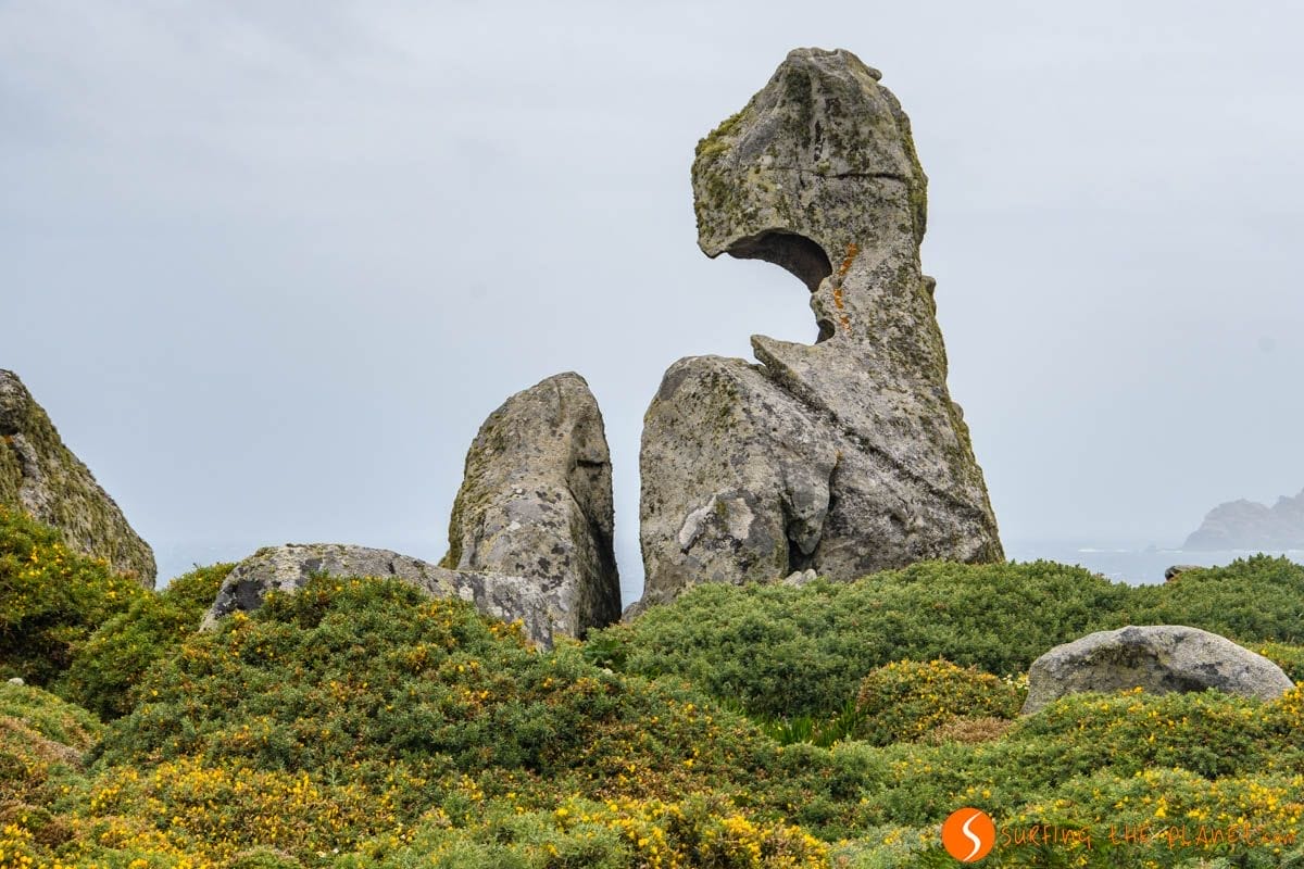 Rocas zoomorficas, Punta Nariga, Costa da Morte, Galicia | Ruta por la Costa da Morte Rocas zoomorficas, Punta Nariga, Costa da Morte, Galicia | Ruta por la Costa da Morte