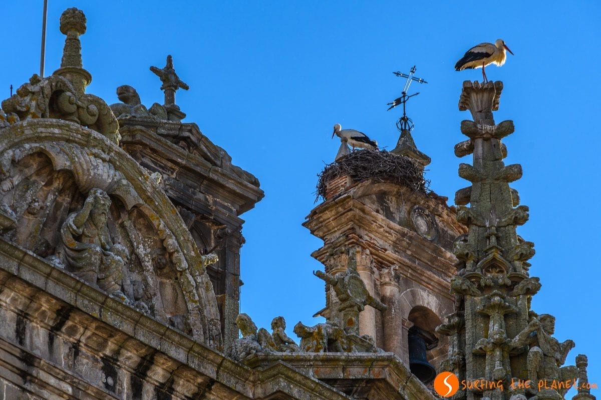 Techo, Catedral Vieja, Plasencia, Cáceres, Extremadura | Que visitar en Plasencia Techo, Catedral Vieja, Plasencia, Cáceres, Extremadura | Que visitar en Plasencia
