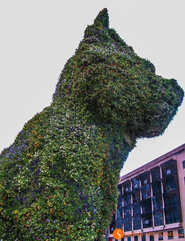 Oso Puppy, Museo Guggenheim, Bilbao, Vizcaya | Que hacer en Bilbao en 3 días Oso Puppy, Museo Guggenheim, Bilbao, Vizcaya | Que hacer en Bilbao en 3 días