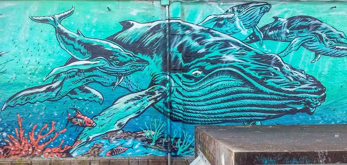 Arte urbano, Vigo, Pontevedra, Galicia | Que visitar en Vigo Arte urbano, Vigo, Pontevedra, Galicia | Que visitar en Vigo