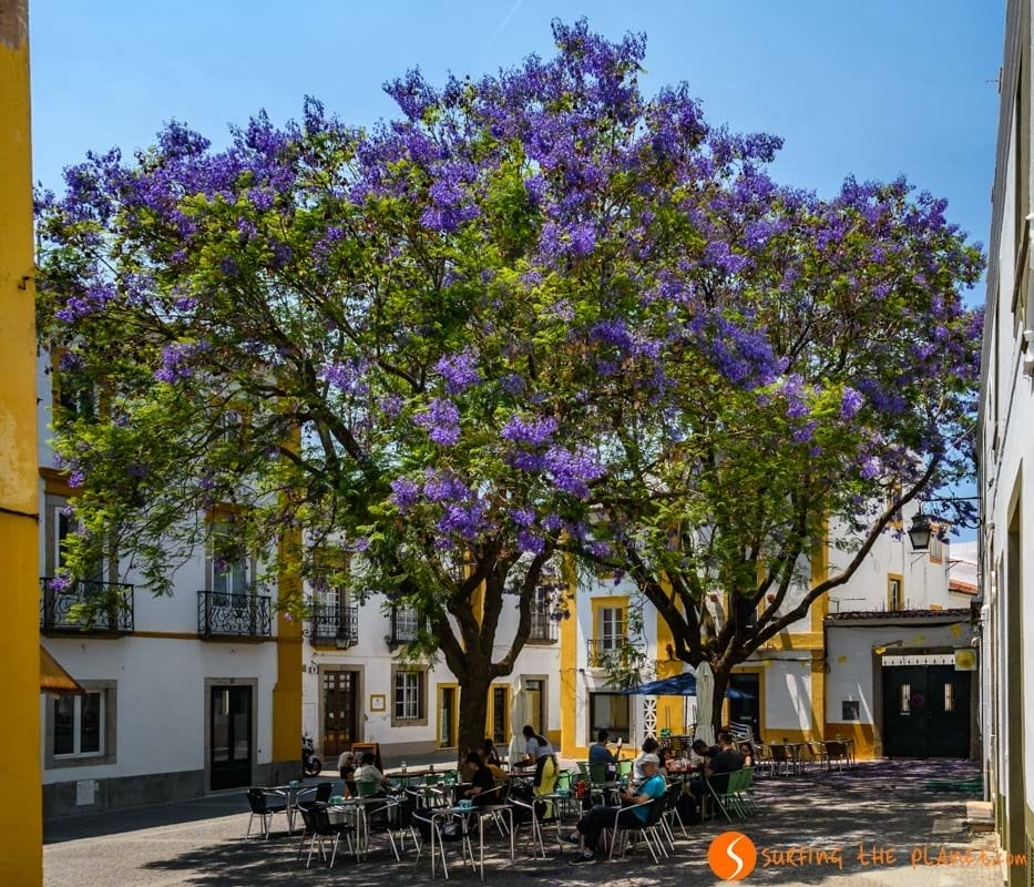 Placita, casco antiguo, Évora, Portugal | Que visitar en Évora Placita, casco antiguo, Évora, Portugal | Que visitar en Évora