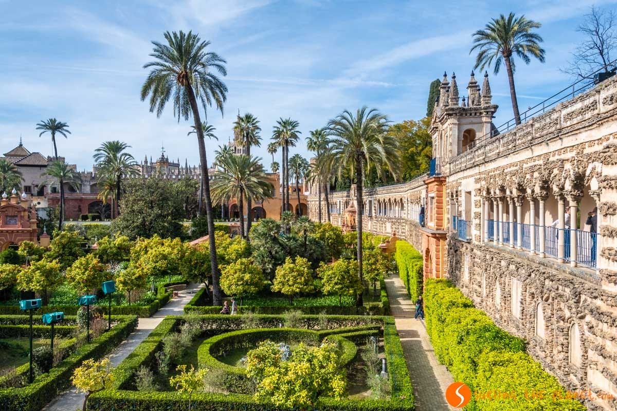 Jardín, Reales Alcázares, Sevilla | Que hacer en Sevilla en un día Jardín, Reales Alcázares, Sevilla | Que hacer en Sevilla en un día