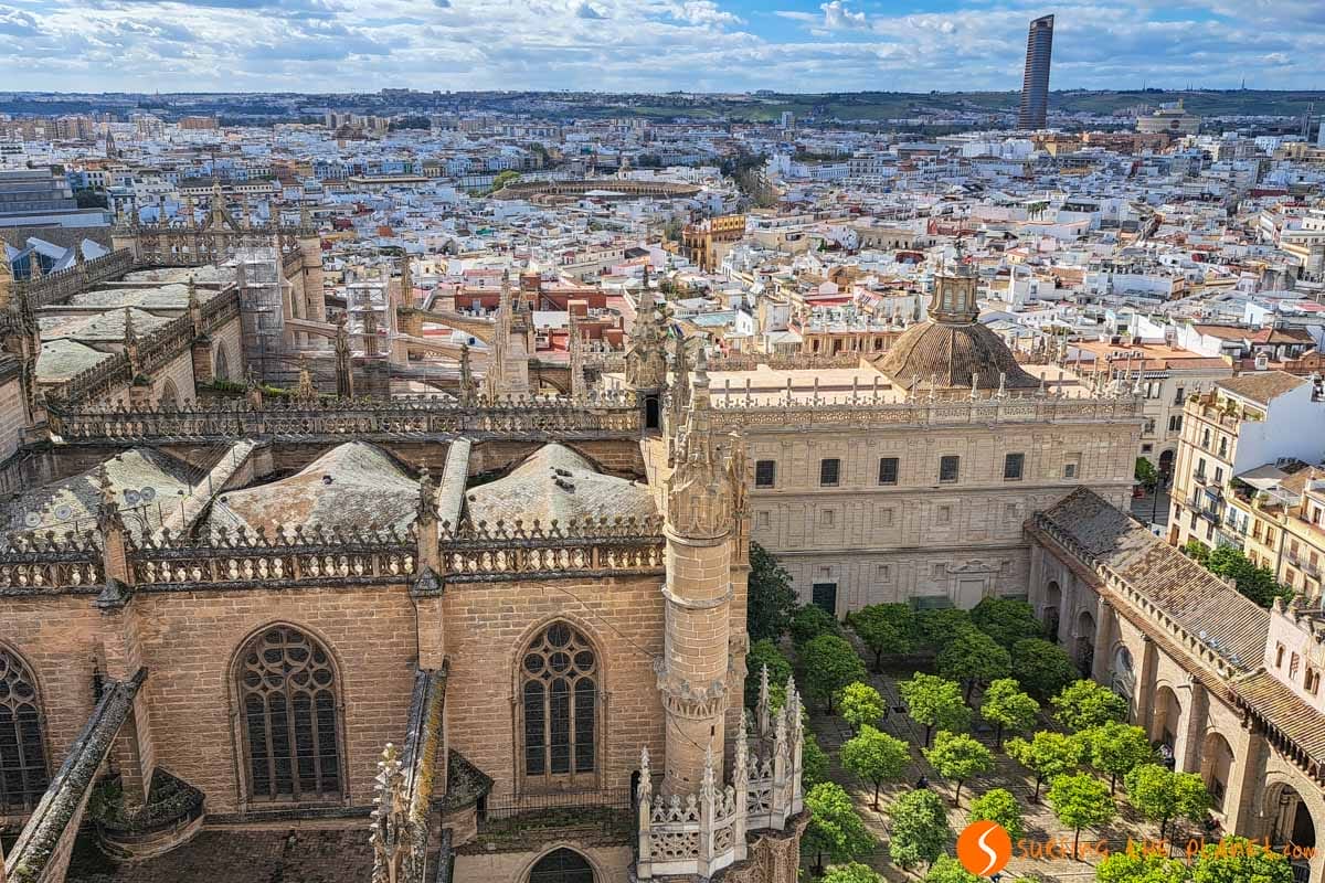 Vistas desde la Giralda, Catedral, Sevilla | Que ver en Sevilla en un día Vistas desde la Giralda, Catedral, Sevilla | Que ver en Sevilla en un día