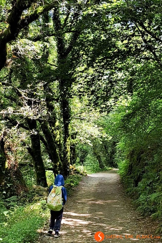 Pontevedra, Camino Santiago Portugués con niños Pontevedra, Camino Santiago Portugués con niños