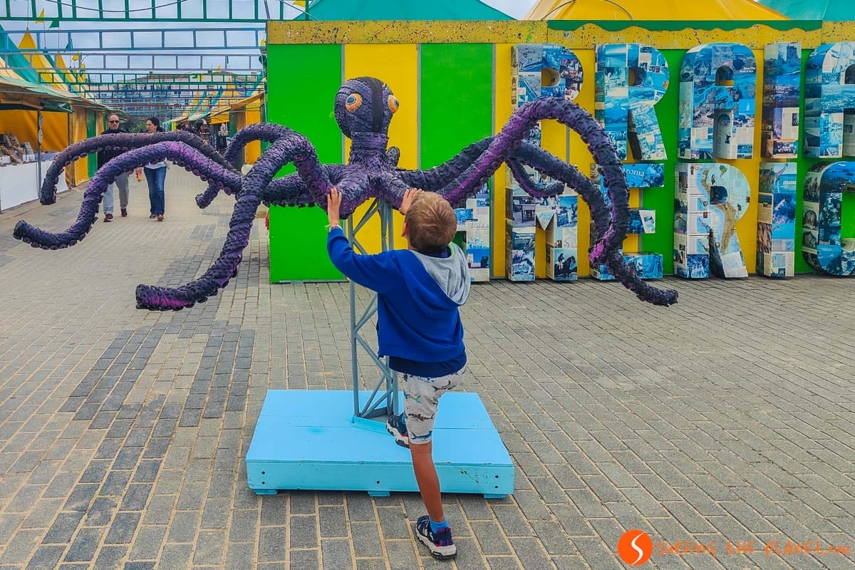 Pulpo, Camino Santiago Portugués con niños Pulpo, Camino Santiago Portugués con niños