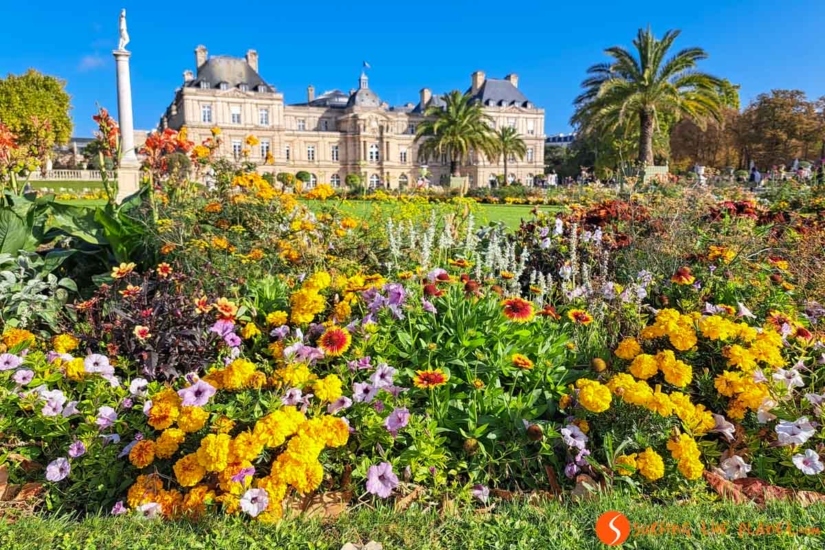 Jardín de Luxemburgo, Barrio Latino, París | Que ver en París en 3 días