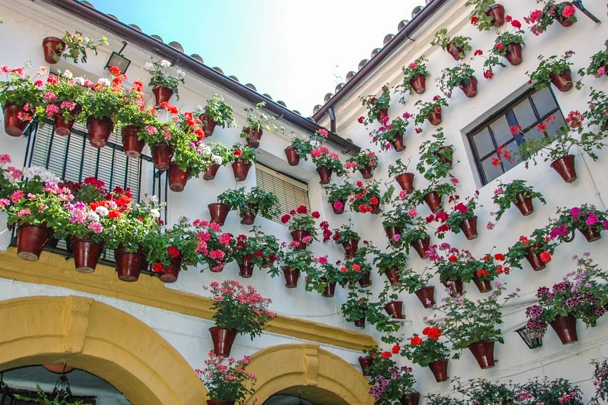 Patios bonitos, Córdoba, Andalucía | Que hacer en Córdoba
