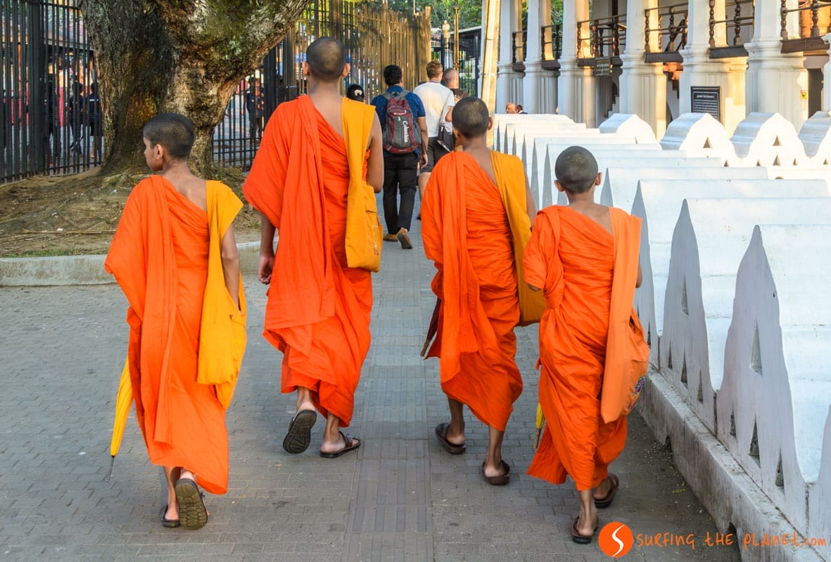 Monjes budistas, Kandy, Sri Lanka