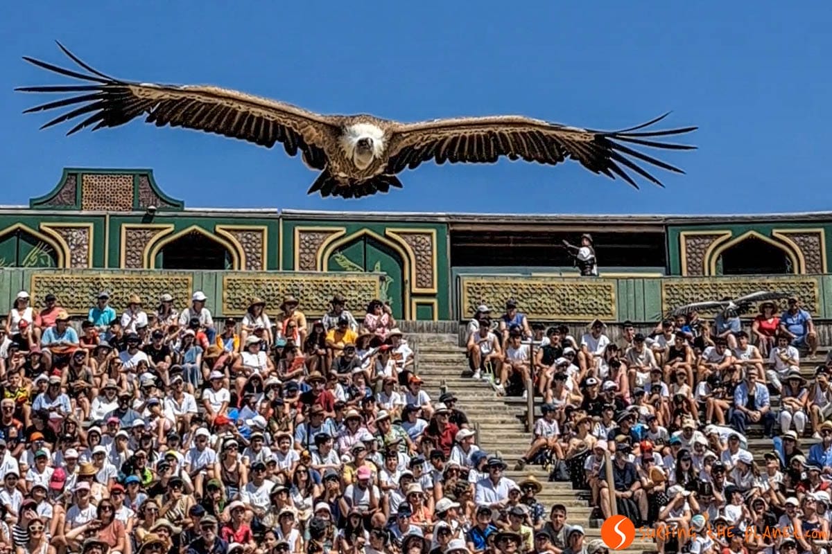 Espectáculo diurno, Puy de Fou, Toledo | Que ver en la provincia de Toledo