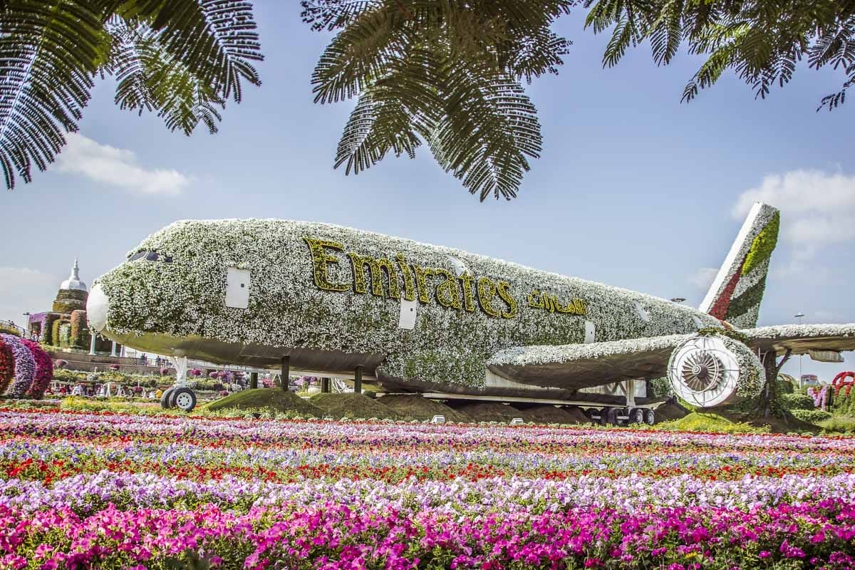 Miracle Garden, Dubái | Que ver en Dubai en 3 días Miracle Garden, Dubái | Que ver en Dubai en 3 días
