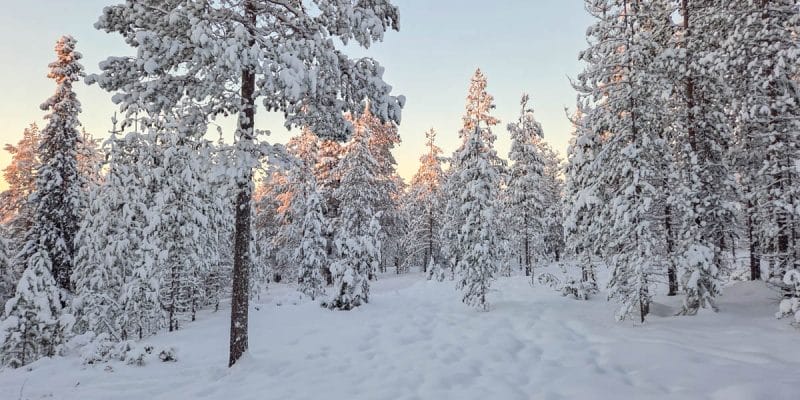 Ruta Ounasvaara, Rovaniemi, Laponia