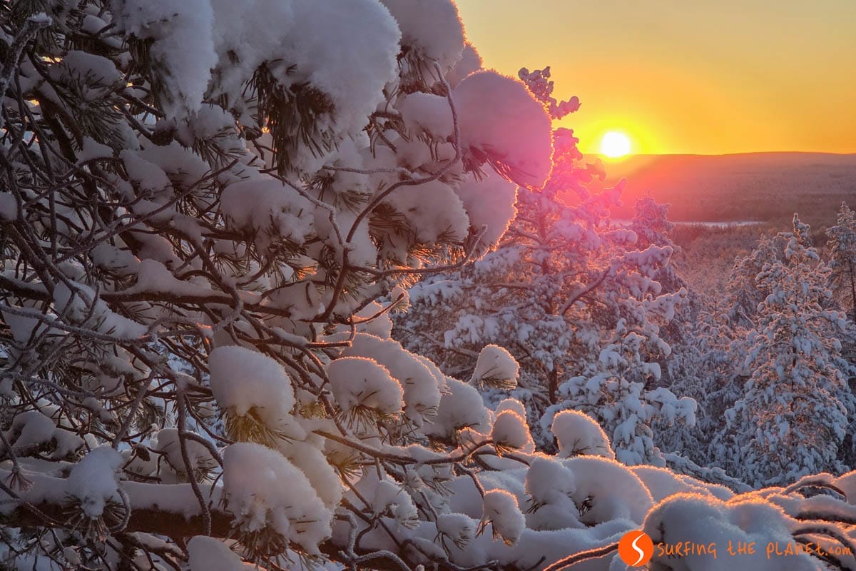 Paisaje, Laponia finlandesia | Que ver en Rovaniemi Paisaje, Laponia finlandesia | Que ver en Rovaniemi