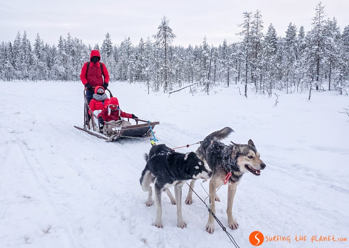 Conduciendo el trineo de huskies, Rovaniemi, Laponia | Que visitar en Rovaniemi Conduciendo el trineo de huskies, Rovaniemi, Laponia | Que visitar en Rovaniemi